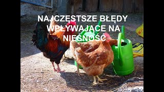 Odcinek 341 JAKIE BŁĘDY POPEŁNIAMY ZWIĄZANE Z NIEŚNOŚCIA W HODOWLI KUR CO ROBIĆ? *PORADY*