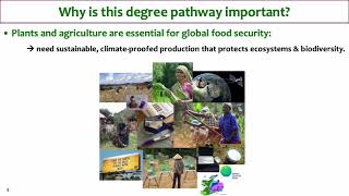 GY301 Plant and AgriBiosciences Pathway at University of Galway