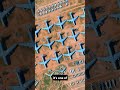 Thousands of Planes Just Sitting Here… #earthexploration #hiddenearth #googleearth