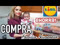 🛒 COMPRA SEMANAL / ¿Como AHORRAR en COMIDA? 💸