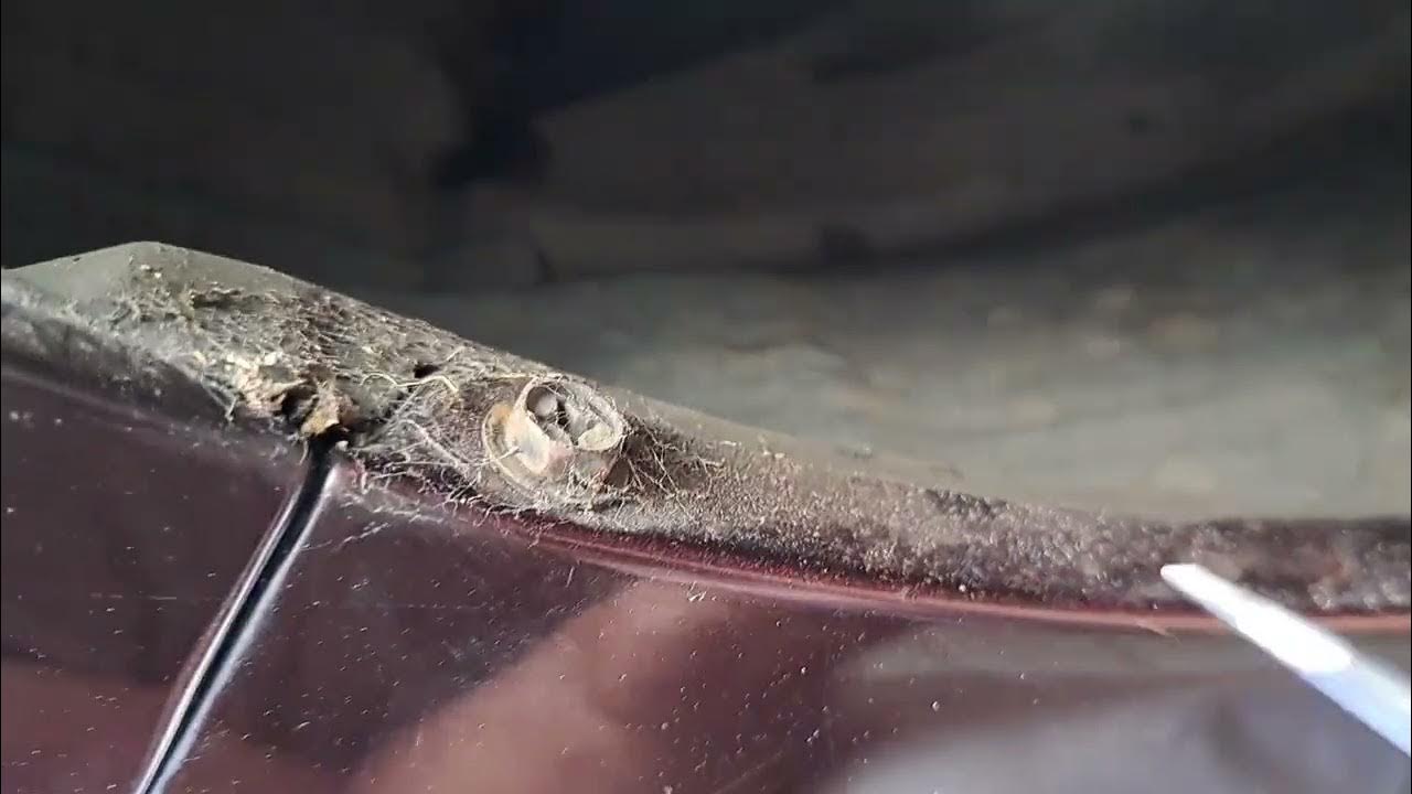 TOYOTA RUKUS / SCION XB How To Replace Headlight Assembly diy howto