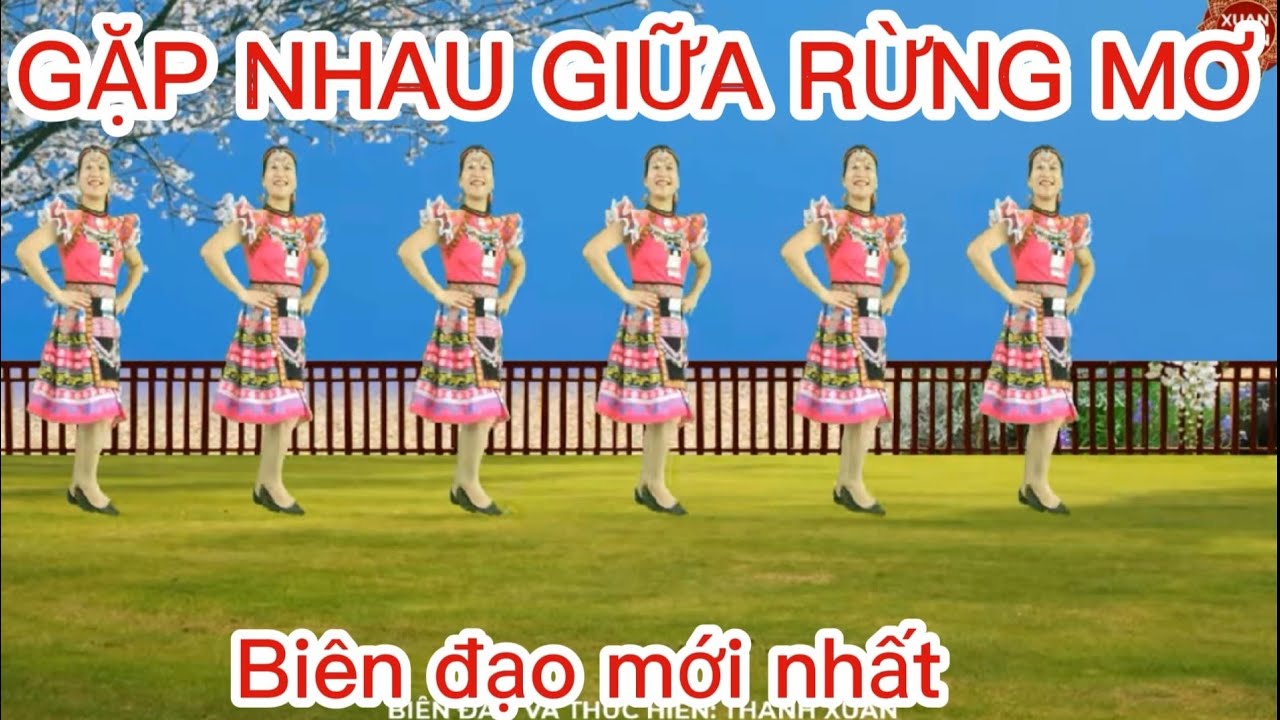 🌼GẶP NHAU GIỮA RỪNG MƠ 🌼 ( BIÊN ĐẠO MỚI NHẤT 2025  - RẤT ĐẸP)