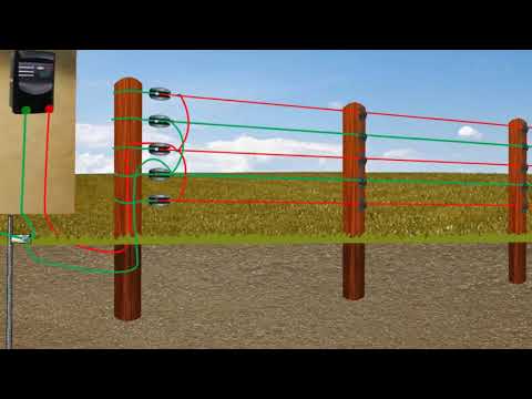 Video: Elektriese heining Plaagbeheer – Gebruik 'n elektriese heining om tuine
