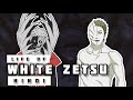 Life of White Zetsu in Hindi || Naruto