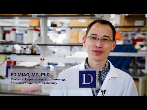 Duke Science and Technology: Pyroptotic cell death