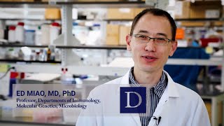 Duke Science and Technology: Pyroptotic cell death