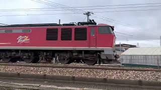 貨物列車3093レ EF510-13