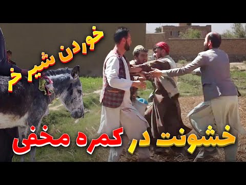 جالب ترین کمره مخفی به نفر شیر خر را خوراندند