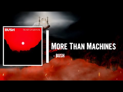 BUSH - More