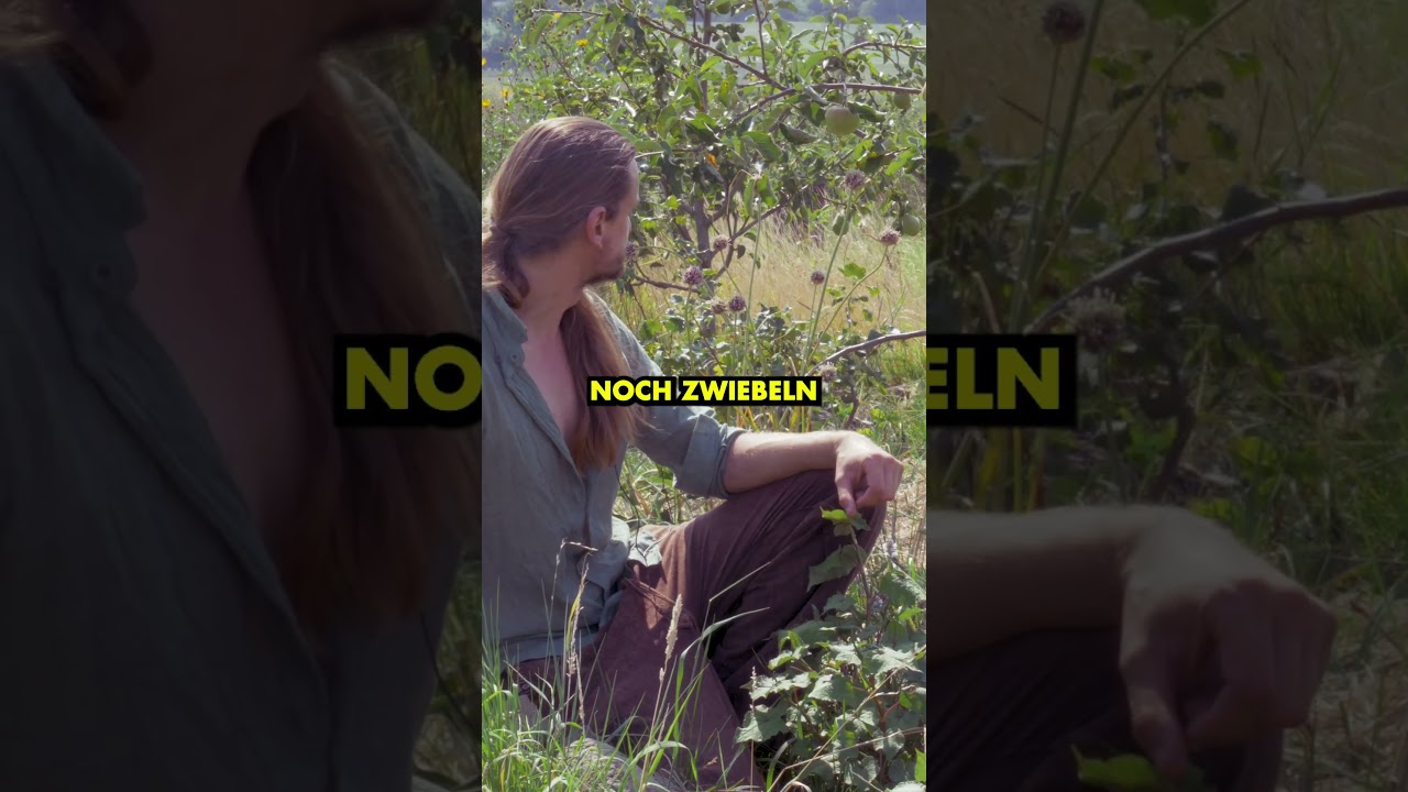 Mischkultur Apfel, Erdbeeren, Knoblauch und Baumspinat 