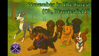 Download Lagu November in the Forest (Oh, Macclesfield!) MP3