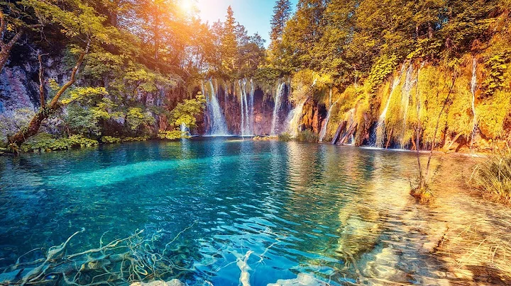 Relaxing Music with Birds Singing - Beautiful Piano Music & Guitar Music by Soothing Relaxation