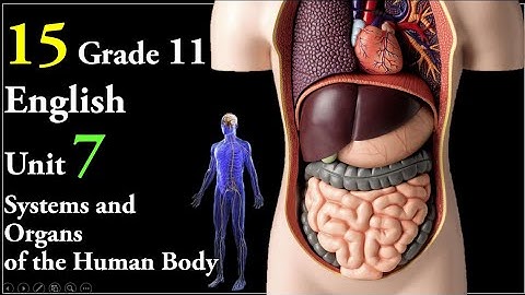 15 Grade 11 English  Unit 7 Systems and Organs of the Human Body: The Kidneys