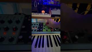 All I need. @MoogSynthesizers Matriarch, Minitaur, and Mother 32. #synth #moog #synthesizer