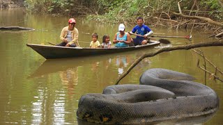 10 Hewan Buas Penguasa Sungai Amazon – Monster River