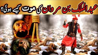 Download Lagu Abdul malik bin Marwan ki Maut| Abdul malik bin marwan |Dushman e Ahlebait|Khanum Amber|Bani Umayyah MP3
