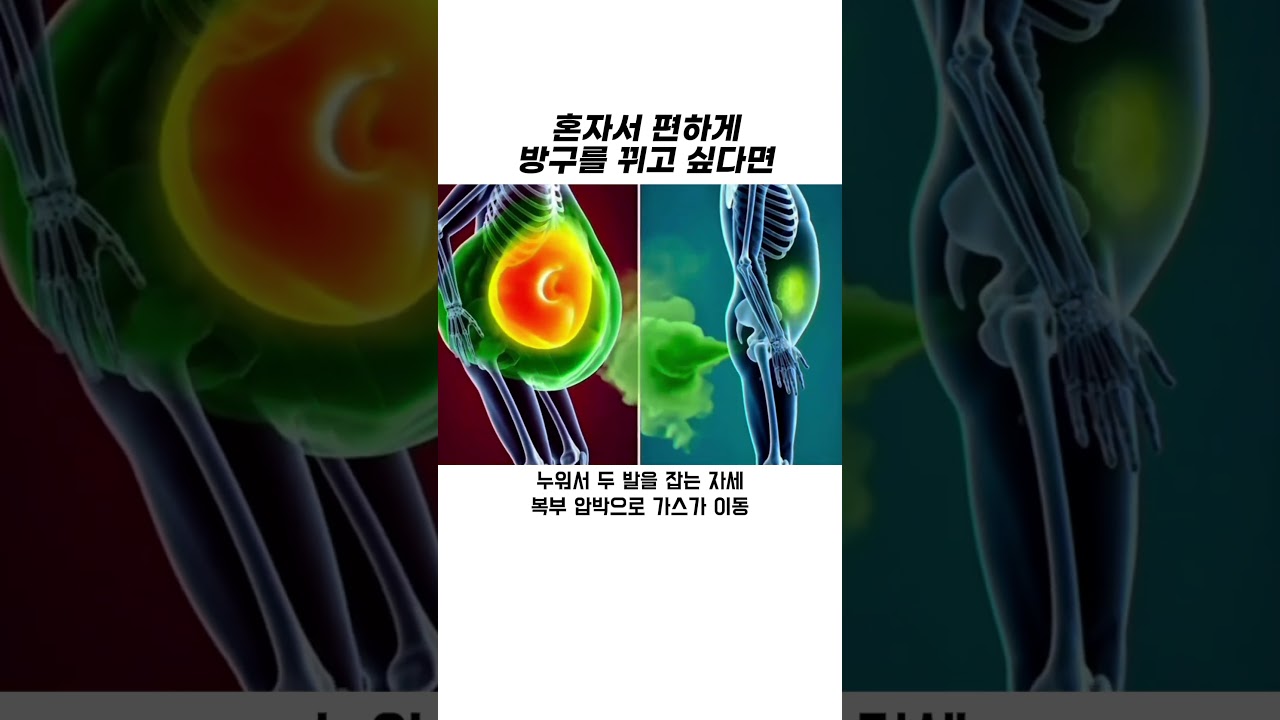 혼자서 편하게 방구를 뀌고 싶다면