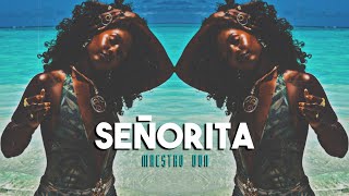 señorita - maestro don (sped-up/fast)