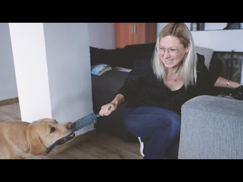 Video: La forma correcta de jugar a tirar con tu perro