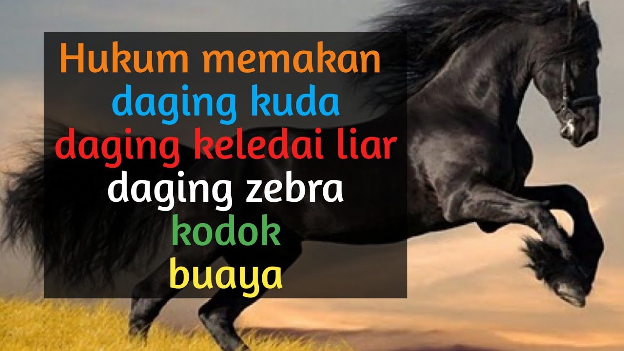 Halal kah daging keledai liar, kuda, buaya, dan zebra?