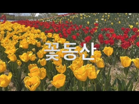 꽃동산 (가사악보, 계이름악보 포함)