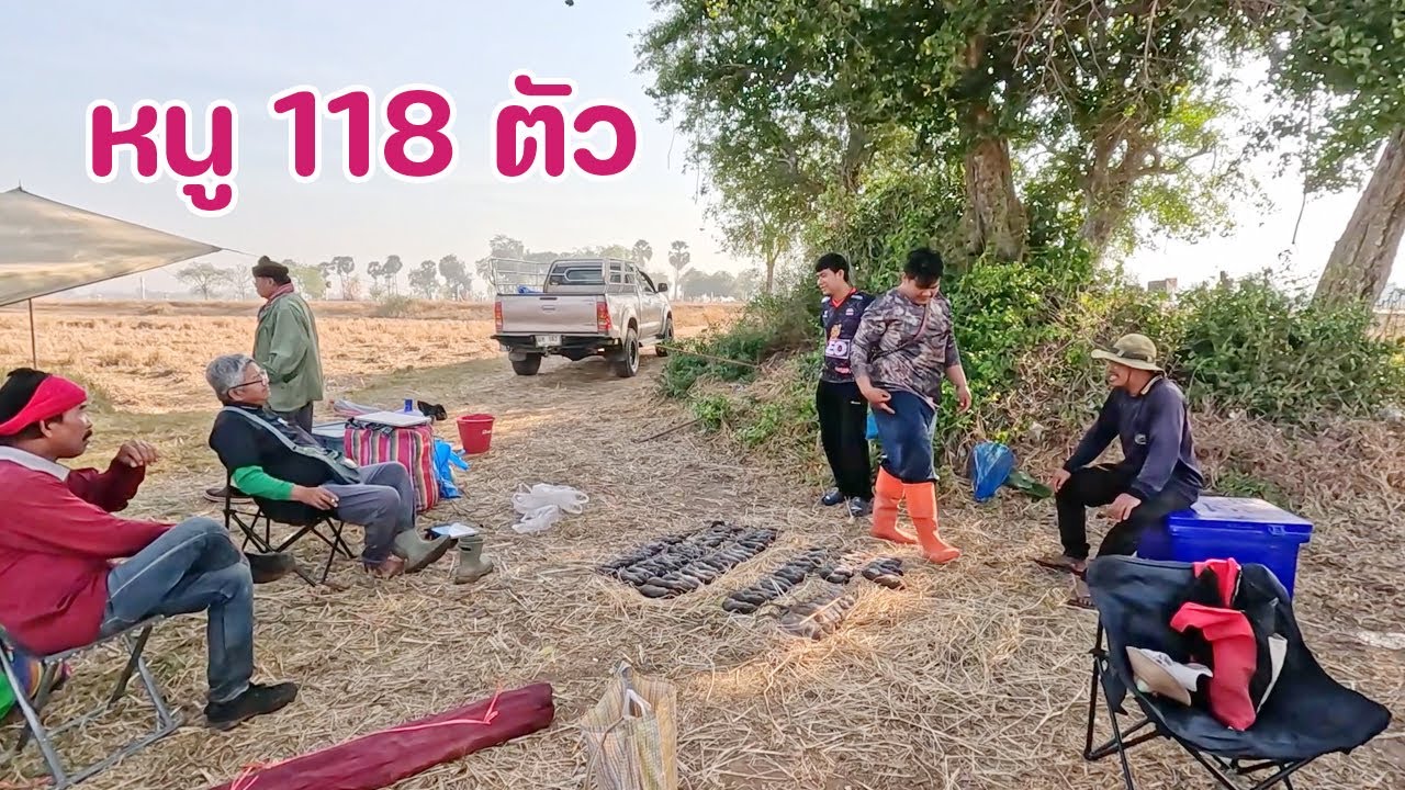 ตั้งแคมป์หาหนูนอนคืน กับทีมงานชุดใหญ่ เจอหมายเด็ด หนูครัว 118 ตัว ติดเรียงๆ