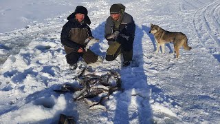 Экстремальная рыбалка хариуса и гольца на Канином носе НАО  Путь протяженностью в 1600 км