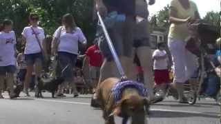 Wiener Walk 2012