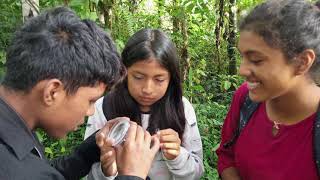 2024-02-13: Santa Lucia Forest School (mini) exploring nature around Nanegal