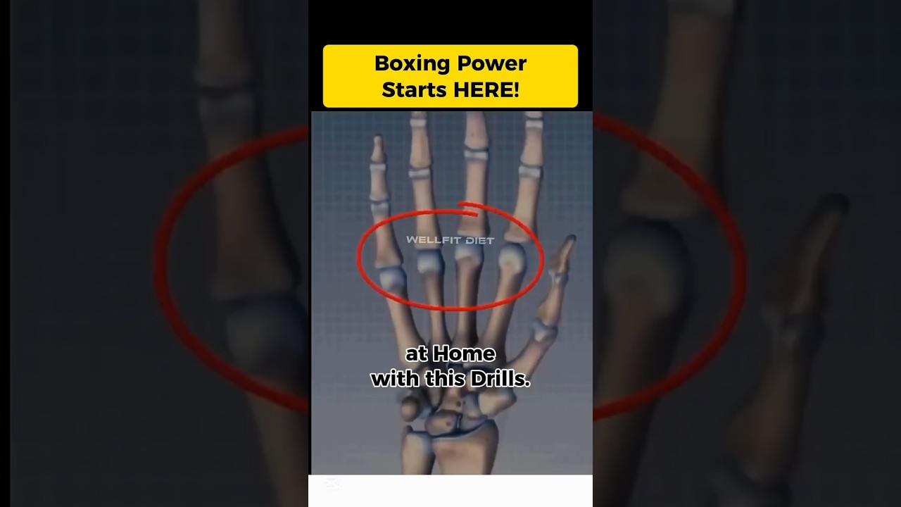 Increase Punching Power | At-Home Wrist Workout for Fighters 