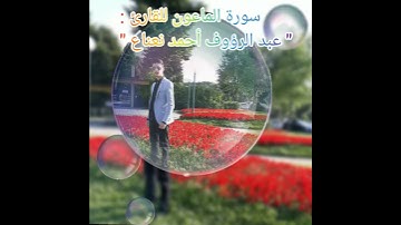 سورة الماعون للقارئ : عبد الرؤوف أحمد نعناع