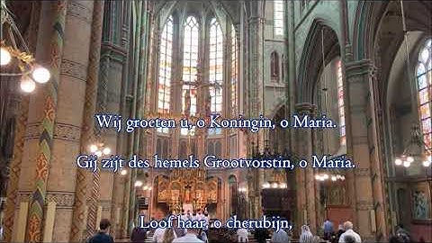 Wij groeten u, o Koningin (SATB met Descant)