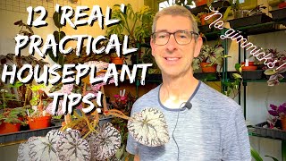 DOUBLE Your HOUSEPLANT Survival Rate With These 12 PRACTICAL TIPS!