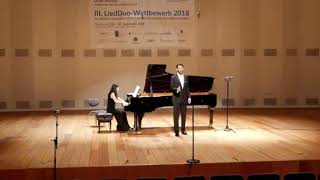 Franz Schubert Erkönig Op.1 D328