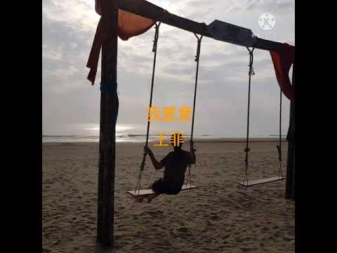 我愿意  王菲  歌词