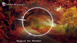 Dinledikçe Huzur Veren Fon Müziği , Garip Film Müzik