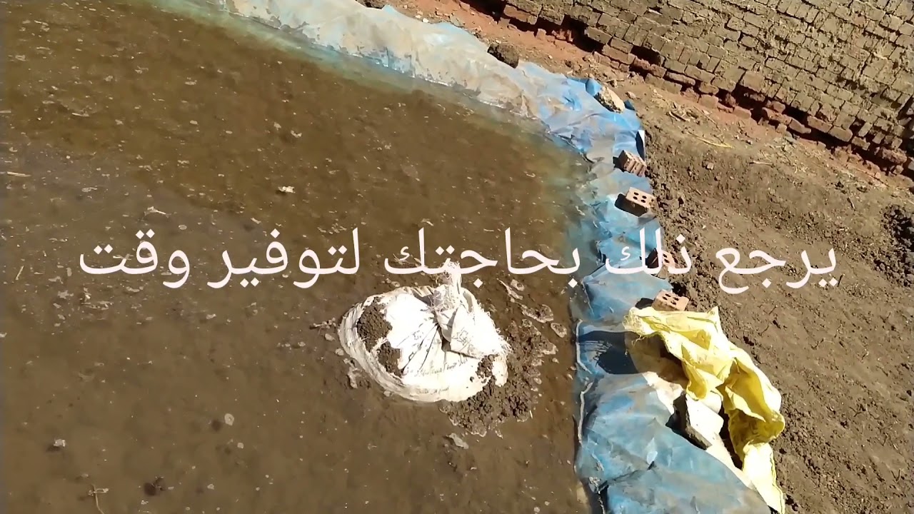 فديو طويل عن الازولا ..يغنيك عن سؤال أحد  .. جزء اول ...12سؤال وجواب ...هل ترغب بمشاهدته...؟