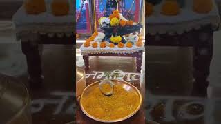 #guruvar#special🙏#shreegurudevdatta#dattatreya#dattaguru#swami#swamiaai#akkalkot#shorts#feed#foryou🙏