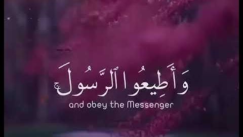 وَأَطيعُوا اللَّهَ وَأَطيعُوا الرَّسولَ  القارئ رعد الكردي