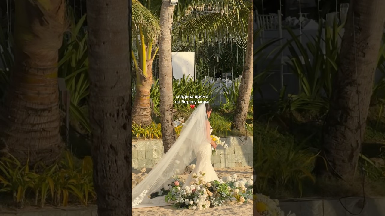 Новая мечта открылась