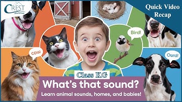 Class KG | Animal Sounds Young Ones And Homes | Science Olympiad | CREST Olympiads