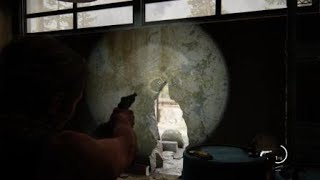 Celebrity The Last of Us Part II ''The big win'' safe combination Net Worth