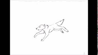wolf run cycle animation