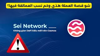 SEI NETWORK كم نسبة العمالقة فيها