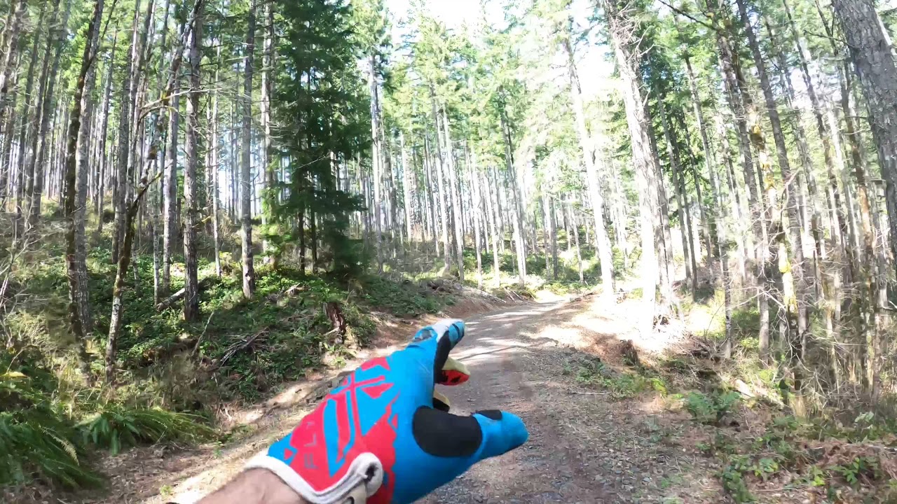 Rogers camp road  Tillamook forest