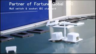 Wall Switch and Socket Production Process