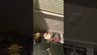 IMG 2281