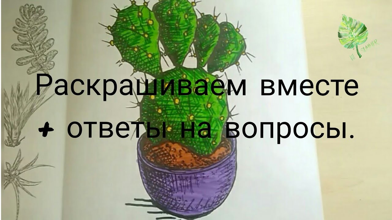 Раскрашиваем вместе раскраску "Cactus Party" + ответы на вопросы.