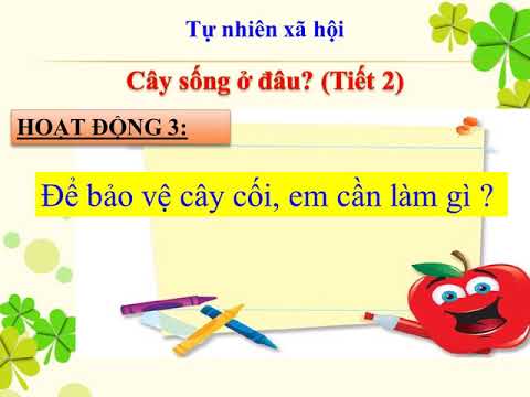 TNXH 2 Tuần 24,25,25 Bài Cây sống ở đâu tiết 2