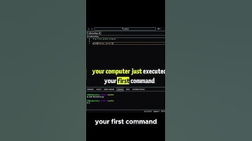 Write Your First Python Code in 20 Seconds!
